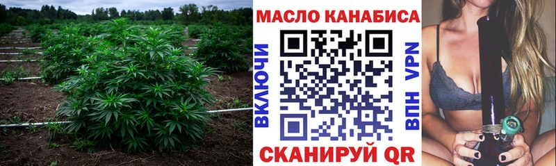Дистиллят ТГК гашишное масло Куса