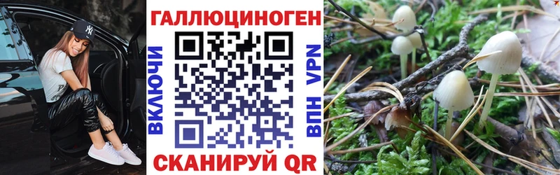 сколько стоит  ссылка на мегу маркетплейс  Псилоцибиновые грибы мухоморы  Куса 